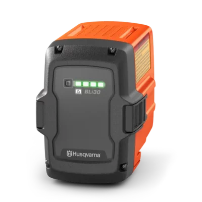 Batterie BLi30