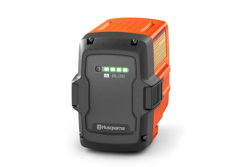Batterie BLi30