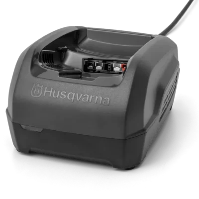 Chargeur QC250